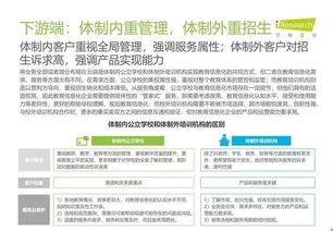 2019年中國教育信息化行業報告 信息技術咨詢服務